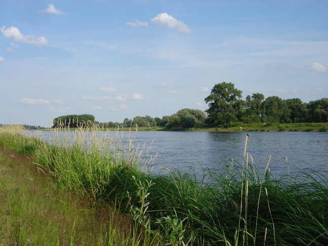 Elbe